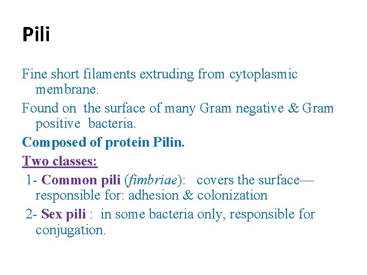 Pili Fine short filaments extruding from cytoplasmic membrane. Found on the surface of many