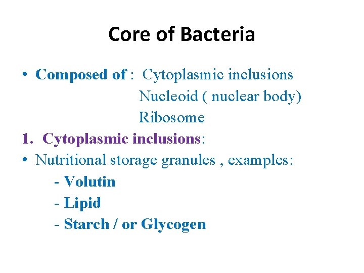Core of Bacteria • Composed of : Cytoplasmic inclusions Nucleoid ( nuclear body) Ribosome