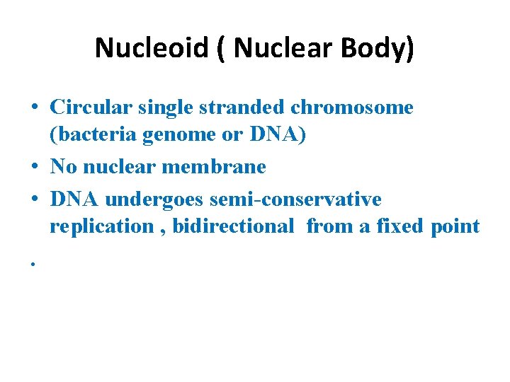 Nucleoid ( Nuclear Body) • Circular single stranded chromosome (bacteria genome or DNA) •