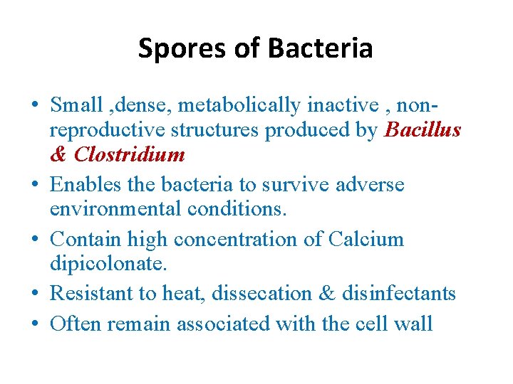 Spores of Bacteria • Small , dense, metabolically inactive , nonreproductive structures produced by