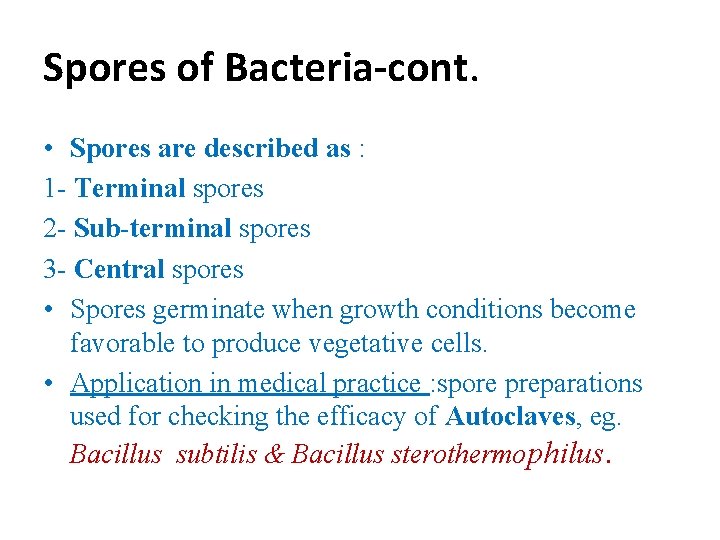 Spores of Bacteria-cont. • Spores are described as : 1 - Terminal spores 2