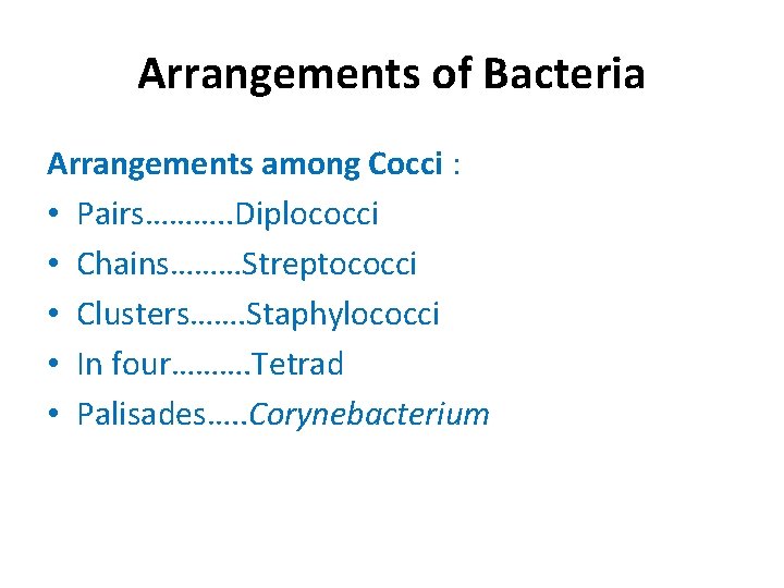 Arrangements of Bacteria Arrangements among Cocci : • Pairs………. . Diplococci • Chains………Streptococci •