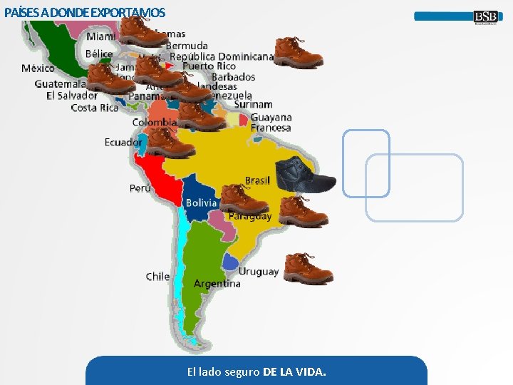 PAÍSES A DONDE EXPORTAMOS El lado seguro DE LA VIDA. 