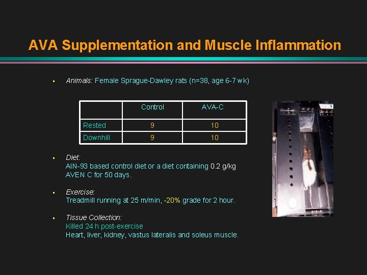 AVA Supplementation and Muscle Inflammation § Animals: Female Sprague-Dawley rats (n=38, age 6 -7