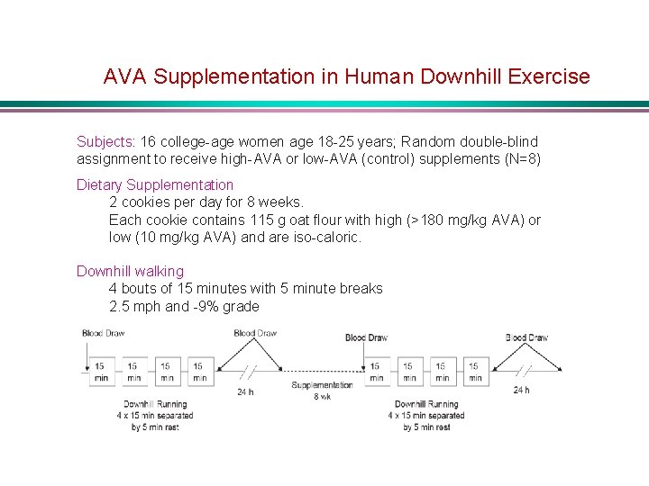 AVA Supplementation in Human Downhill Exercise Subjects: 16 college-age women age 18 -25 years;