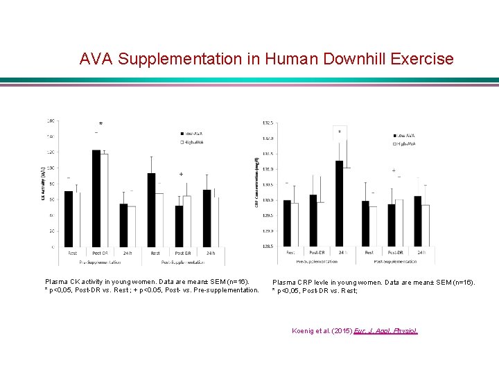 AVA Supplementation in Human Downhill Exercise * + Plasma CK activity in young women.