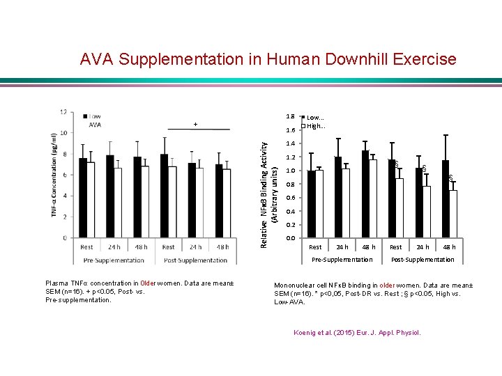 AVA Supplementation in Human Downhill Exercise 1. 8 + Relative NFκB Binding Activity (Arbitrary