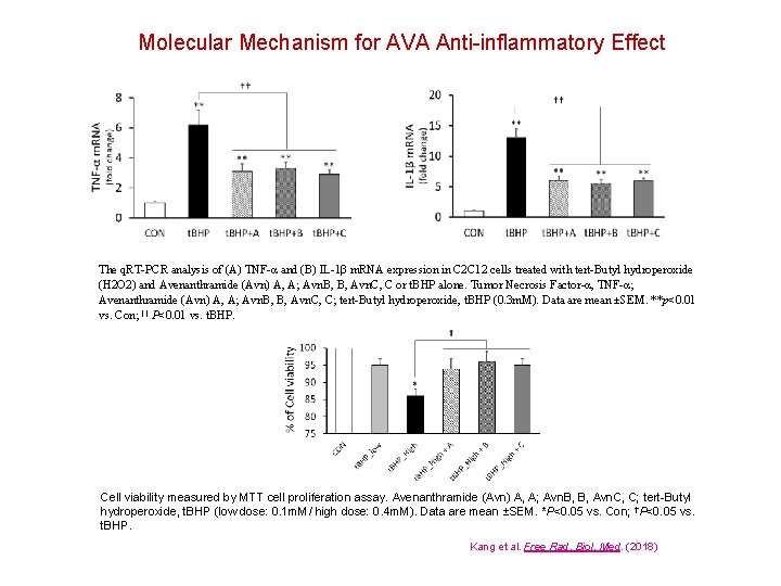 Molecular Mechanism for AVA Anti-inflammatory Effect The q. RT-PCR analysis of (A) TNF-α and