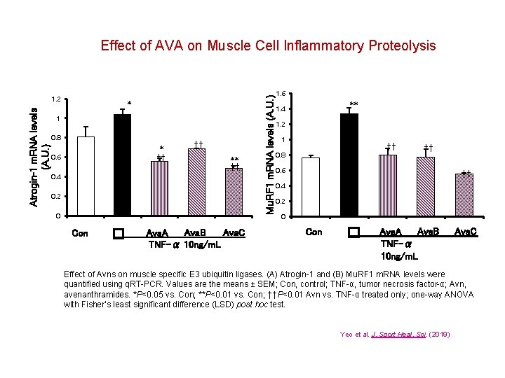 Atrogin-1 m. RNA levels (A. U. ) 1. 2 * 1 0. 8 *