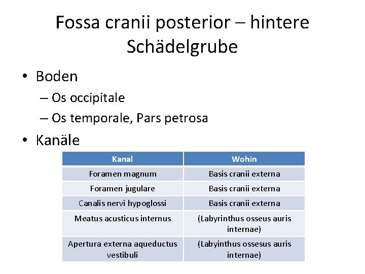 Fossa cranii posterior – hintere Schädelgrube • Boden – Os occipitale – Os temporale,