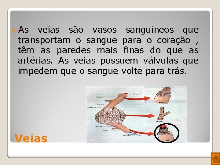  As veias são vasos sanguíneos que transportam o sangue para o coração ,