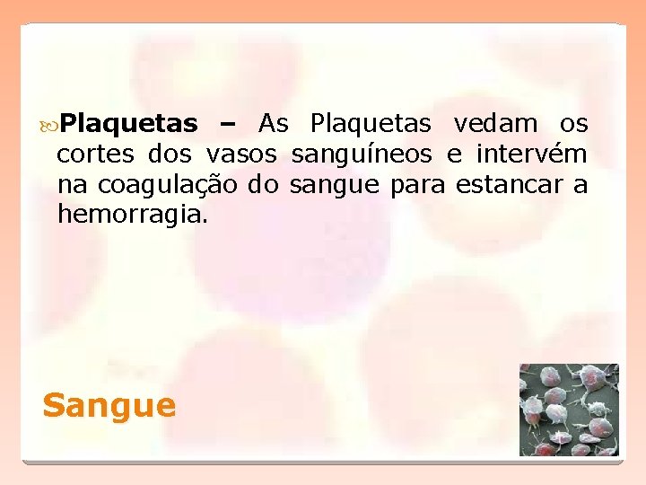  Plaquetas – As Plaquetas vedam os cortes dos vasos sanguíneos e intervém na