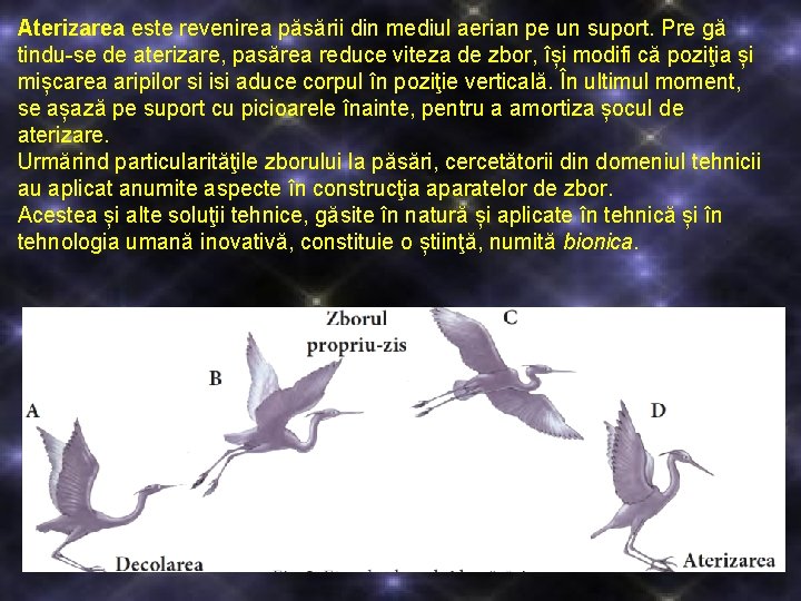 Aterizarea este revenirea păsării din mediul aerian pe un suport. Pre gă tindu-se de