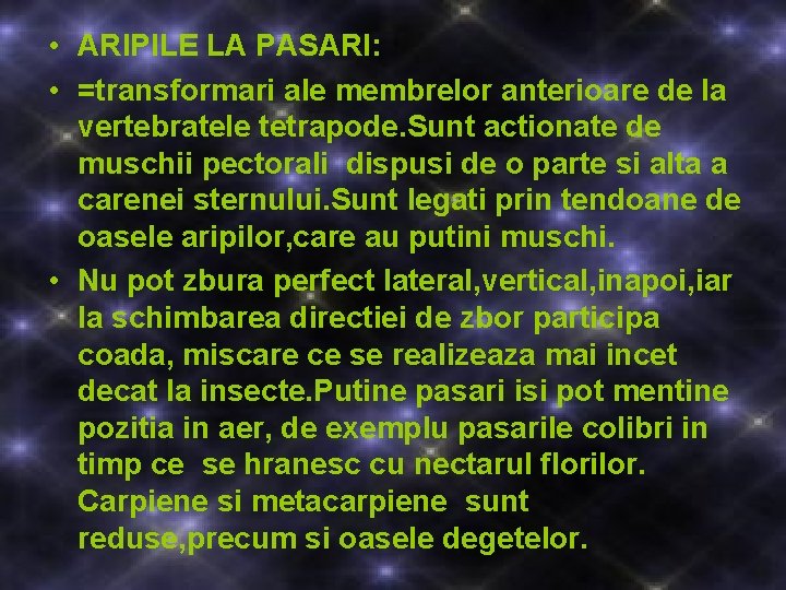  • ARIPILE LA PASARI: • =transformari ale membrelor anterioare de la vertebratele tetrapode.