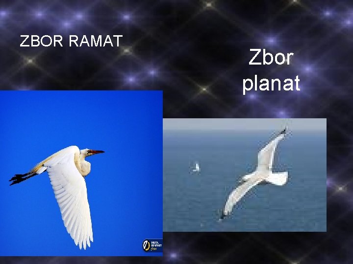 ZBOR RAMAT Zbor planat 