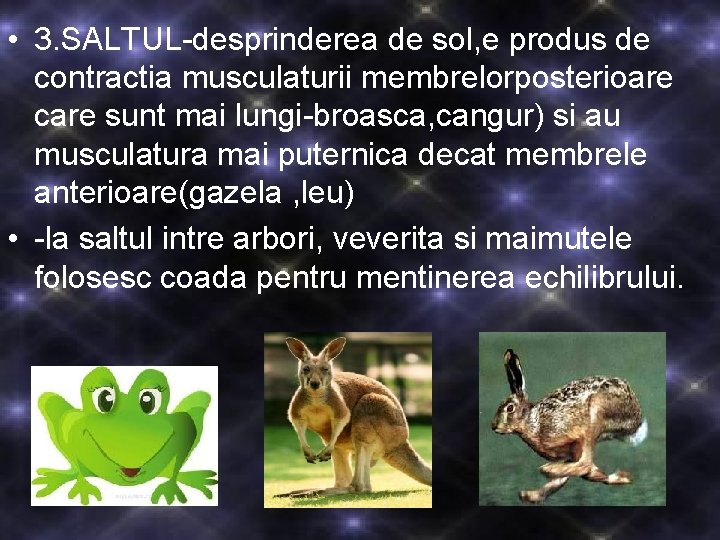  • 3. SALTUL-desprinderea de sol, e produs de contractia musculaturii membrelorposterioare care sunt
