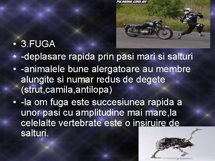  • 3. FUGA • -deplasare rapida prin pasi mari si salturi • -animalele