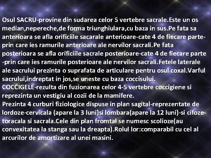 Osul SACRU-provine din sudarea celor 5 vertebre sacrale. Este un os median, nepereche, de