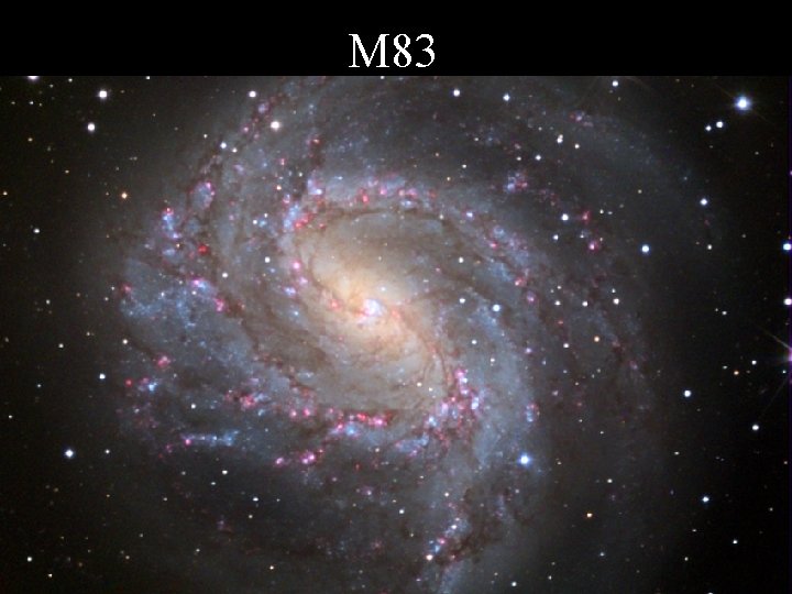 M 83 81 