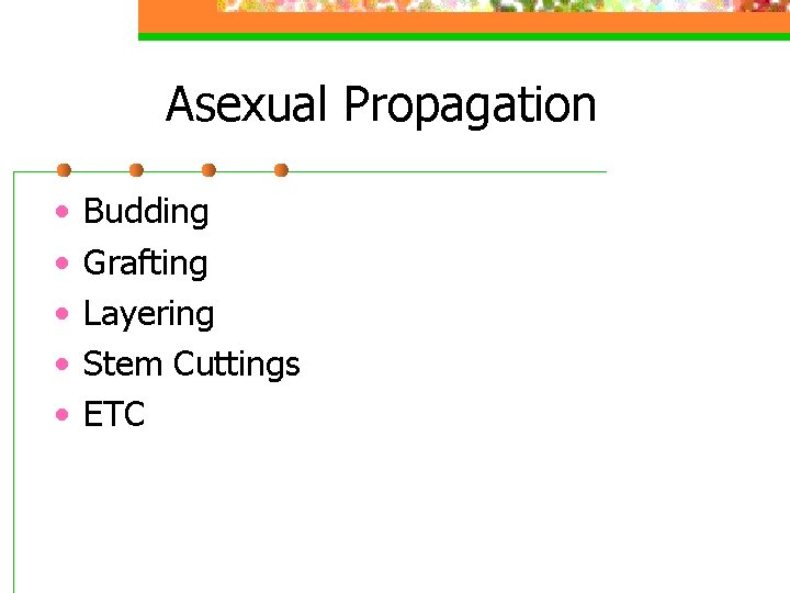 Asexual Propagation • • • Budding Grafting Layering Stem Cuttings ETC 