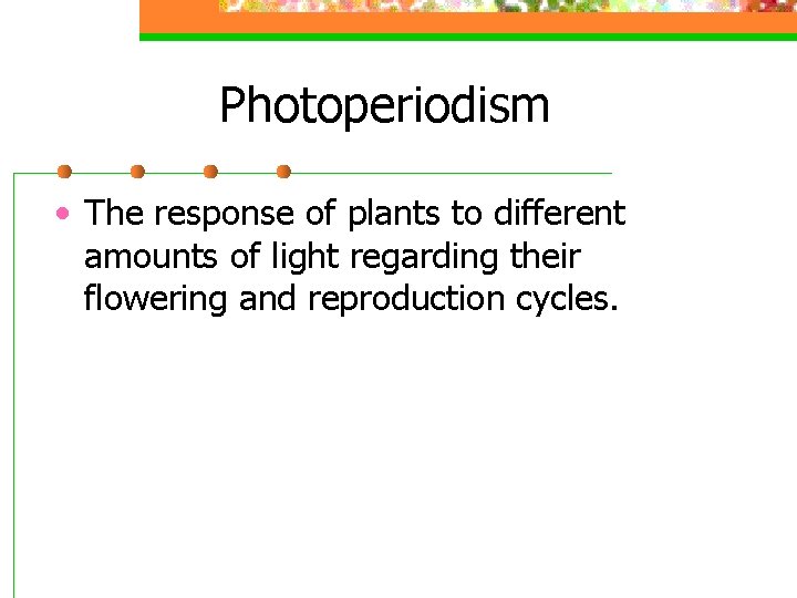 Photoperiodism • The response of plants to different amounts of light regarding their flowering