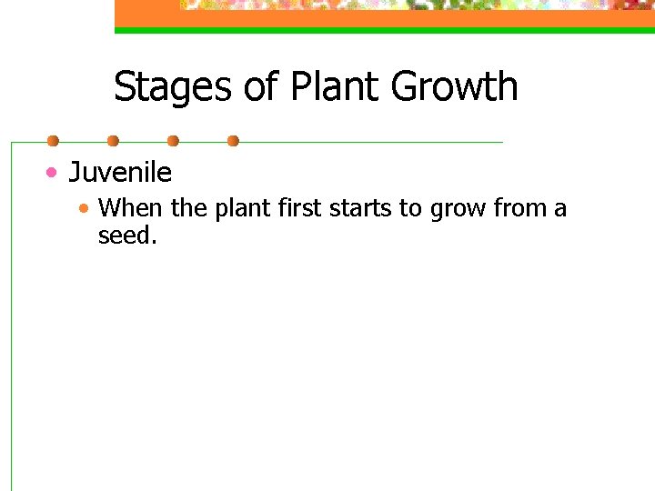 Stages of Plant Growth • Juvenile • When the plant first starts to grow