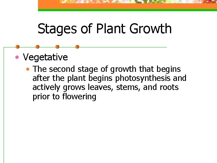 Stages of Plant Growth • Vegetative • The second stage of growth that begins