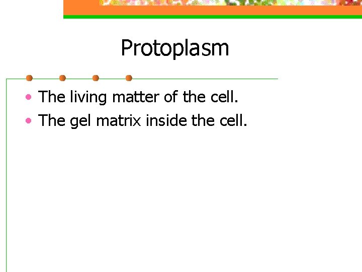 Protoplasm • The living matter of the cell. • The gel matrix inside the