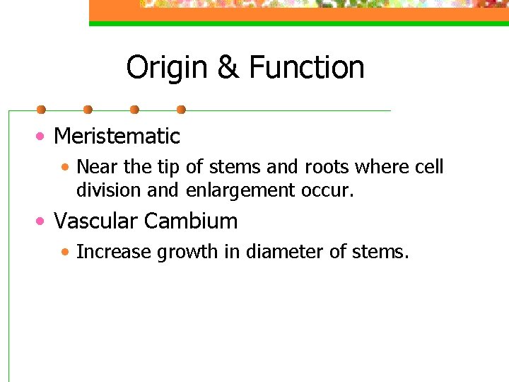 Origin & Function • Meristematic • Near the tip of stems and roots where