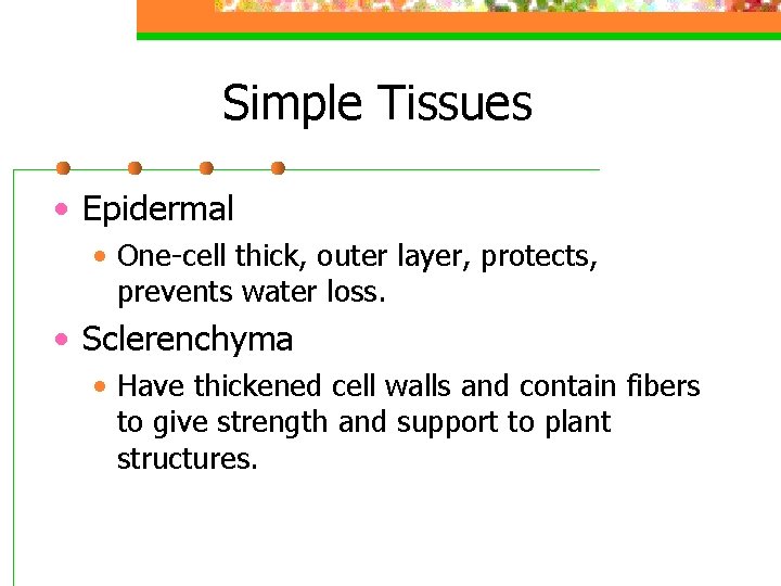 Simple Tissues • Epidermal • One-cell thick, outer layer, protects, prevents water loss. •