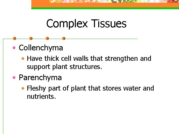 Complex Tissues • Collenchyma • Have thick cell walls that strengthen and support plant