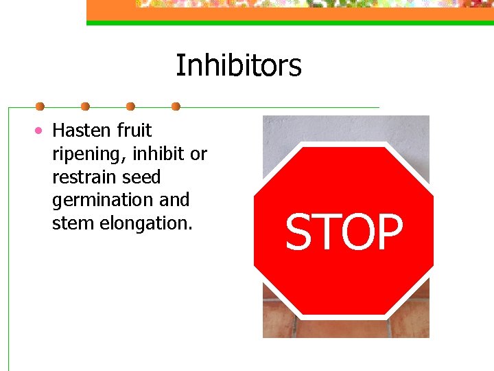 Inhibitors • Hasten fruit ripening, inhibit or restrain seed germination and stem elongation. STOP