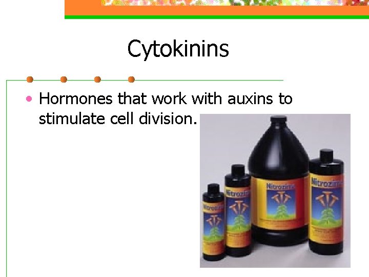 Cytokinins • Hormones that work with auxins to stimulate cell division. 