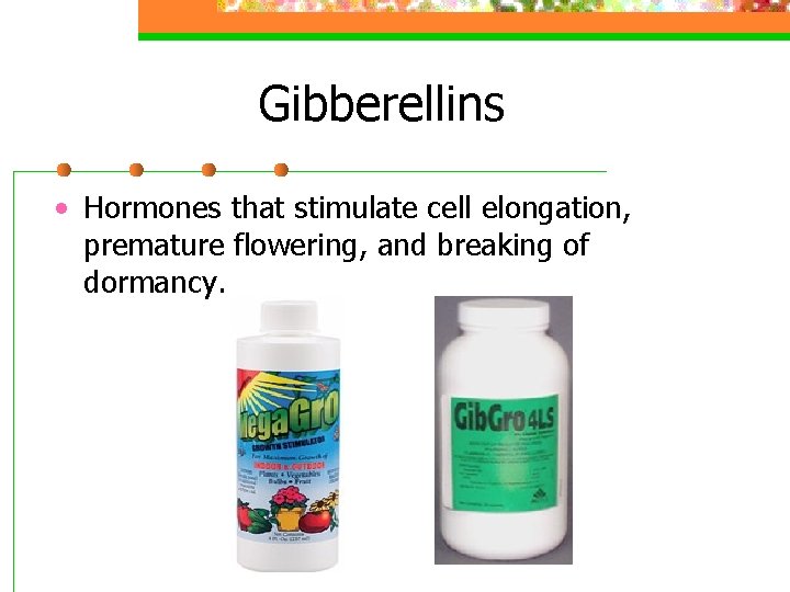 Gibberellins • Hormones that stimulate cell elongation, premature flowering, and breaking of dormancy. 