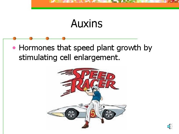 Auxins • Hormones that speed plant growth by stimulating cell enlargement. 