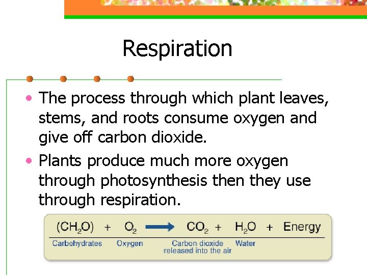 Respiration • The process through which plant leaves, stems, and roots consume oxygen and