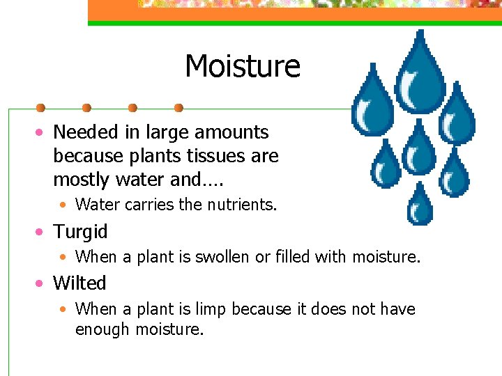 Moisture • Needed in large amounts because plants tissues are mostly water and…. •