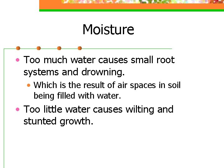 Moisture • Too much water causes small root systems and drowning. • Which is