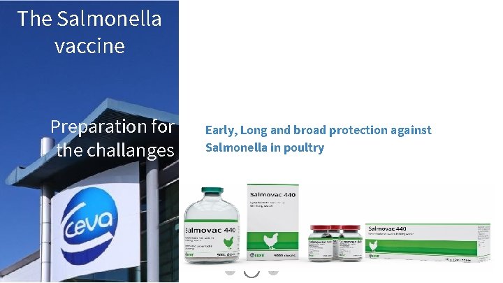 The Salmonella vaccine Preparation for the challanges Early, Long and broad protection against Salmonella