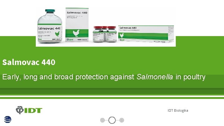 Salmovac 440 Early, long and broad protection against Salmonella in poultry IDT Biologika 