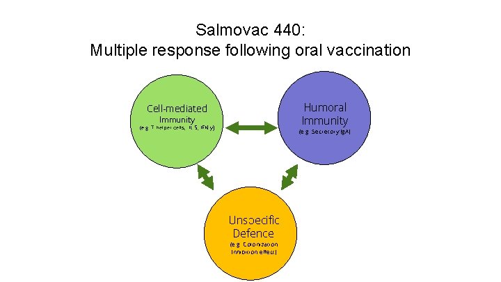 Salmovac 440: Multiple response following oral vaccination 21, 9% Humoral Immunity Cell-mediated Immunity 42%