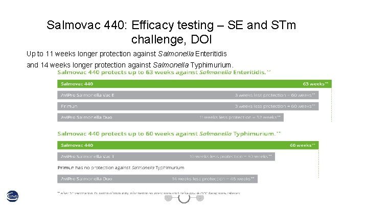 Salmovac 440: Efficacy testing – SE and STm challenge, DOI Up to 11 weeks