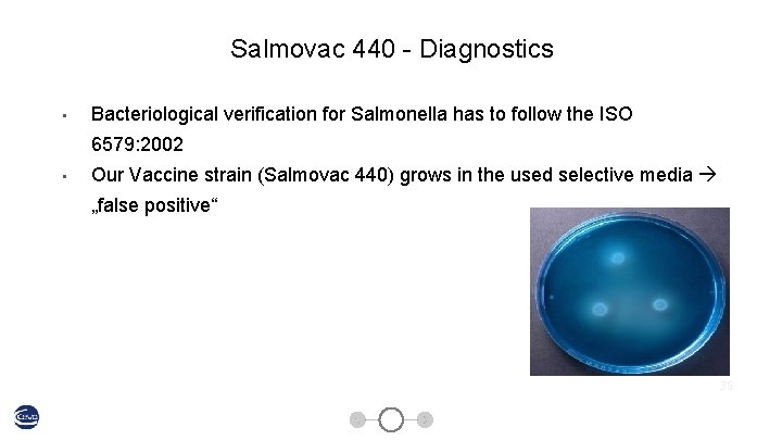 Salmovac 440 - Diagnostics • Bacteriological verification for Salmonella has to follow the ISO