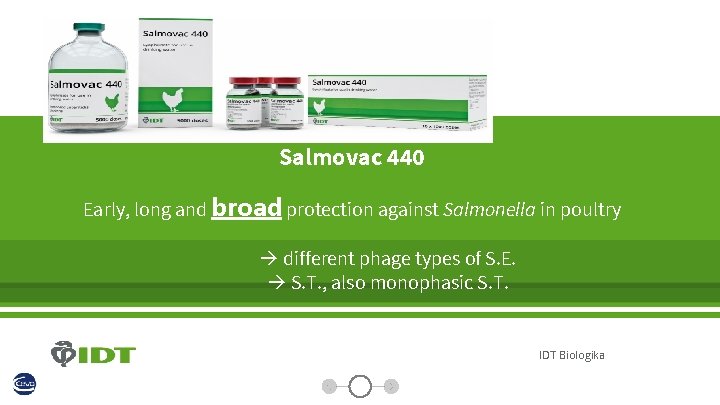 Salmovac 440 Early, long and broad protection against Salmonella in poultry different phage types