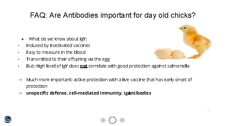 FAQ: Are Antibodies important for day old chicks? ● What do we know about