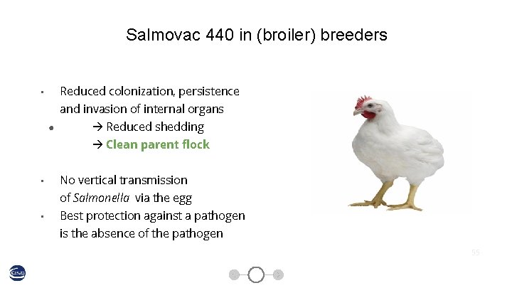 Salmovac 440 in (broiler) breeders Reduced colonization, persistence • and invasion of internal organs