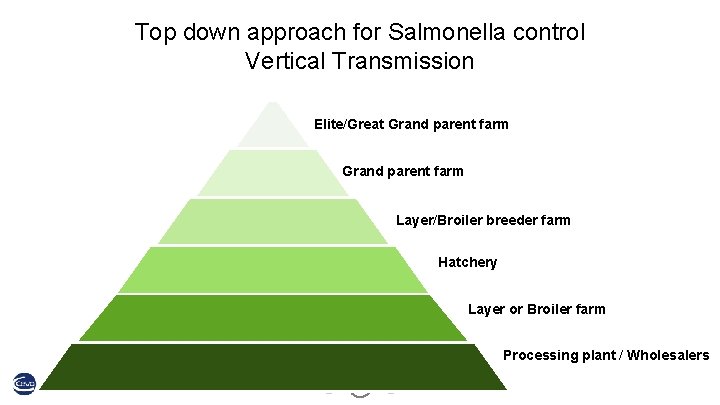 Top down approach for Salmonella control Vertical Transmission Elite/Great Grand parent farm Layer/Broiler breeder