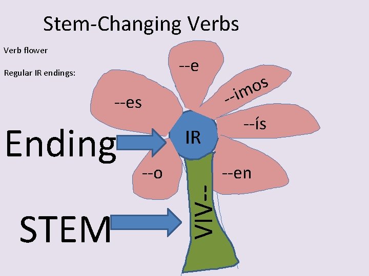 Stem-Changing Verbs Verb flower --e Regular IR endings: -- --es STEM IR --o --ís