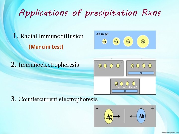 Applications of precipitation Rxns 1. Radial Immunodiffusion (Mancini test) 2. Immunoelectrophoresis 3. Countercurrent electrophoresis