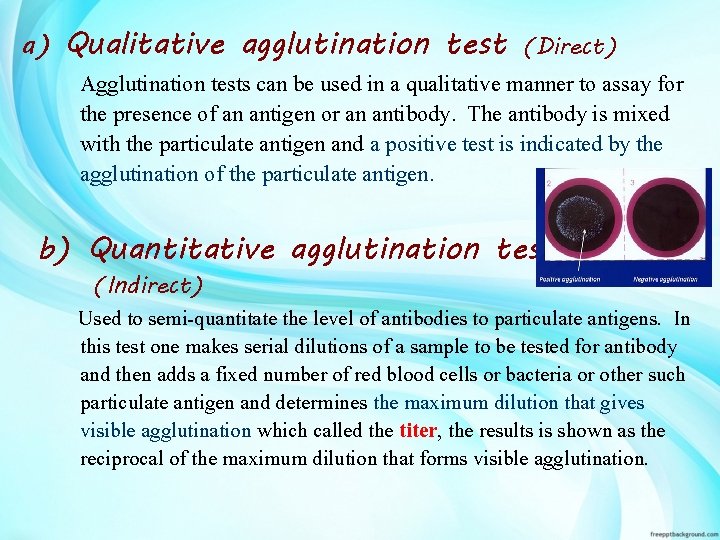 a) Qualitative agglutination test (Direct) Agglutination tests can be used in a qualitative manner